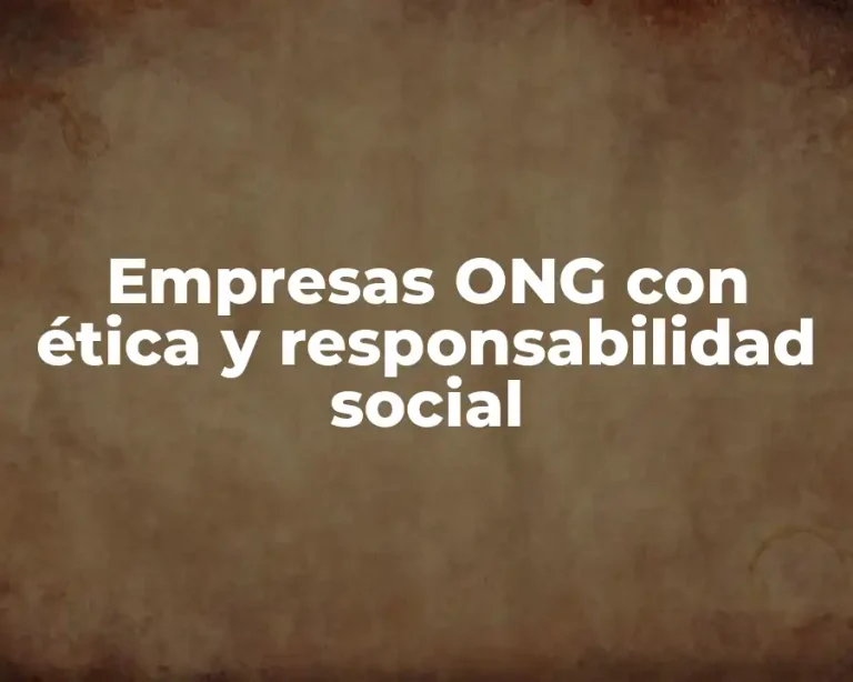 Empresas ONG con ética y responsabilidad social