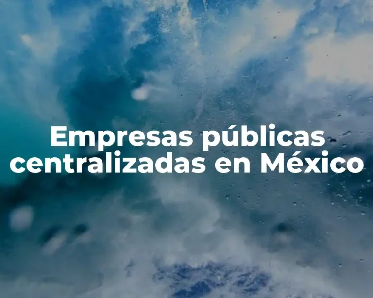 Empresas públicas centralizadas en México