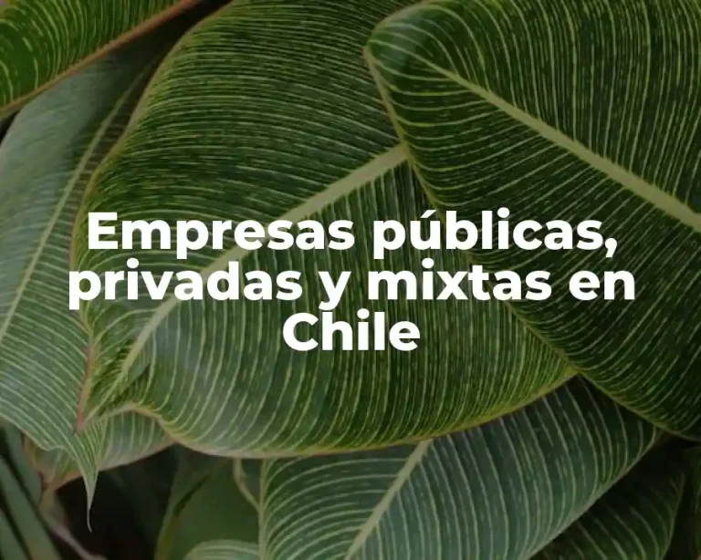 Empresas públicas, privadas y mixtas en Chile