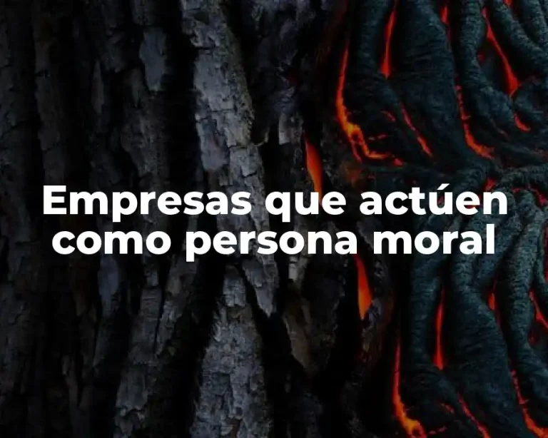 Empresas que actúen como persona moral