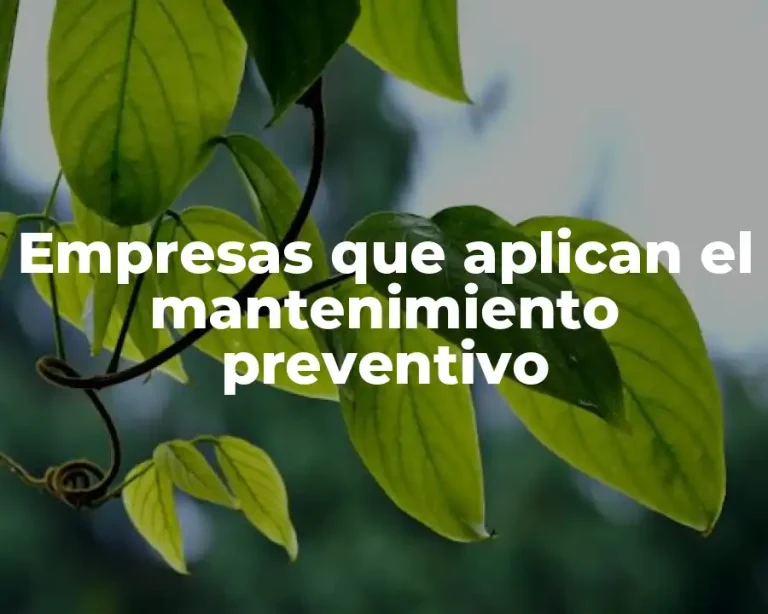 Empresas que aplican el mantenimiento preventivo