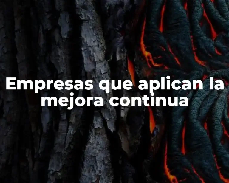 Empresas que aplican la mejora continua