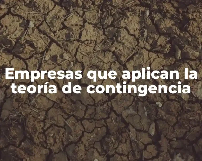 Empresas que aplican la teoría de contingencia