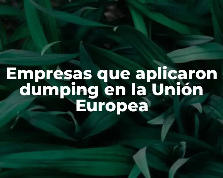 Empresas que aplicaron dumping en la Unión Europea