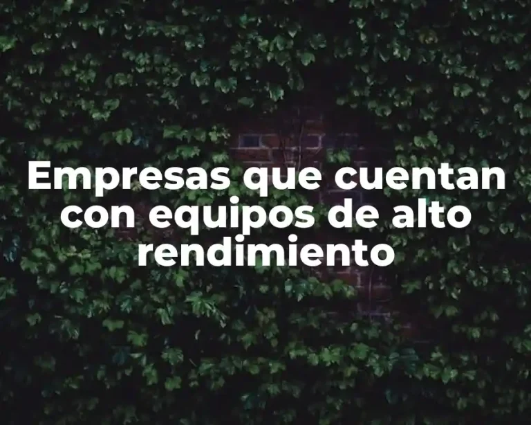 Empresas que cuentan con equipos de alto rendimiento