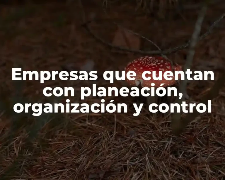 Empresas que cuentan con planeación, organización y control