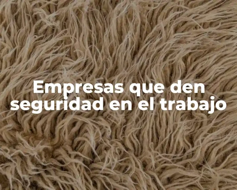 Empresas que den seguridad en el trabajo