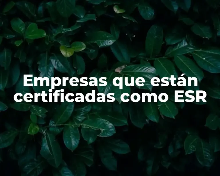 Empresas que están certificadas como ESR