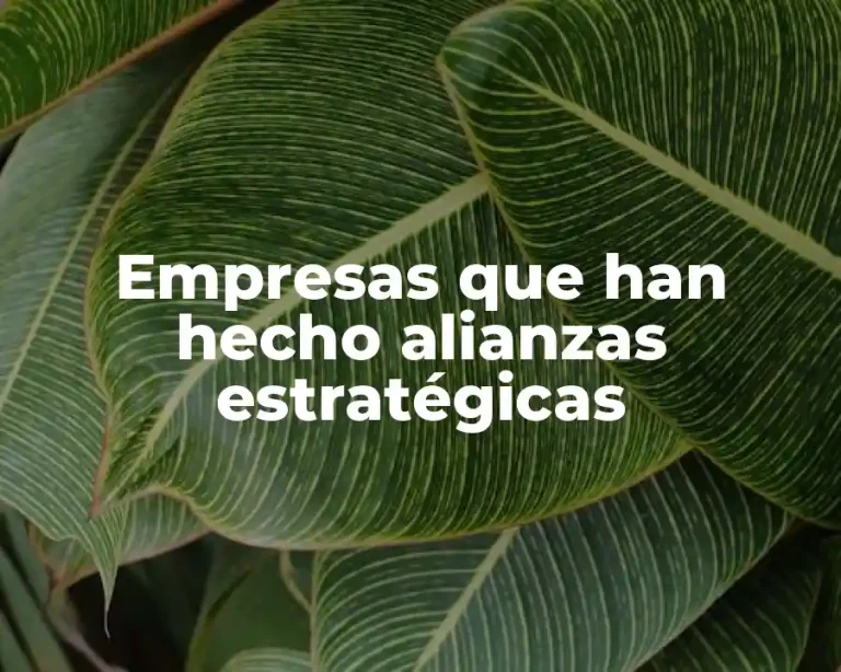 Empresas que han hecho alianzas estratégicas