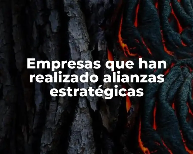 Empresas que han realizado alianzas estratégicas