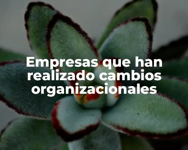 Empresas que han realizado cambios organizacionales