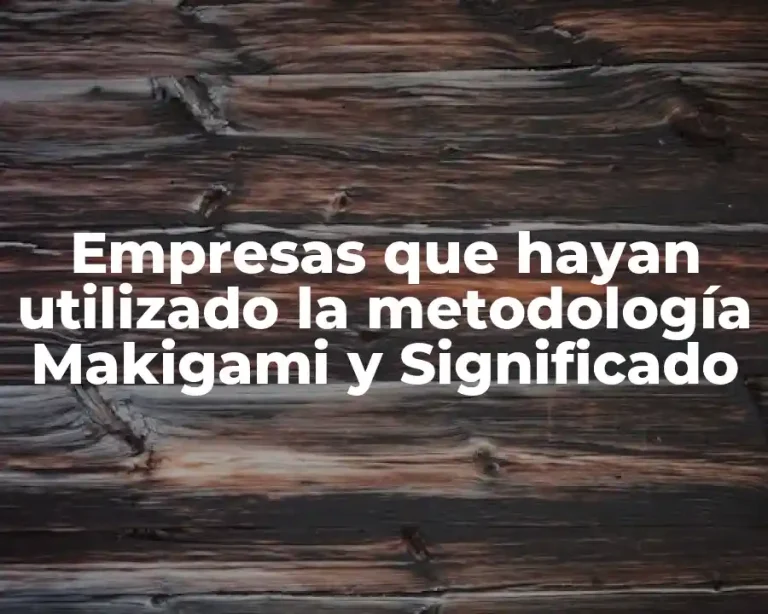 Empresas que hayan utilizado la metodología Makigami y Significado