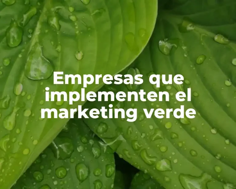Empresas que implementen el marketing verde