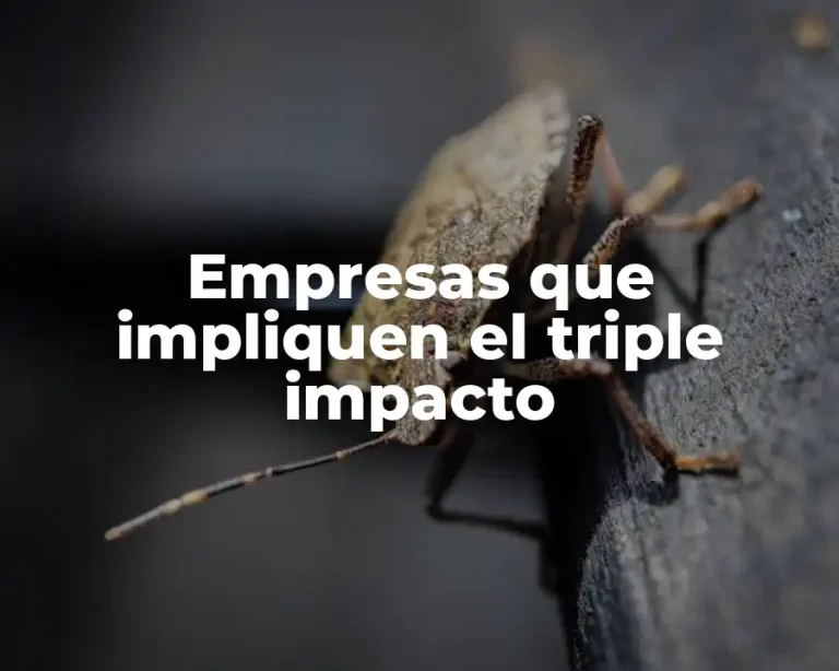 Empresas que impliquen el triple impacto