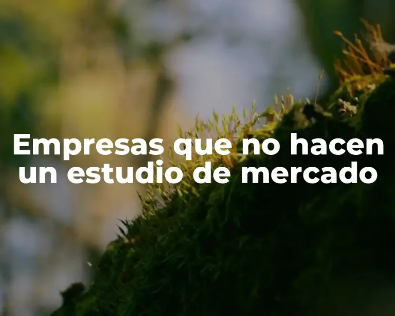 Empresas que no hacen un estudio de mercado