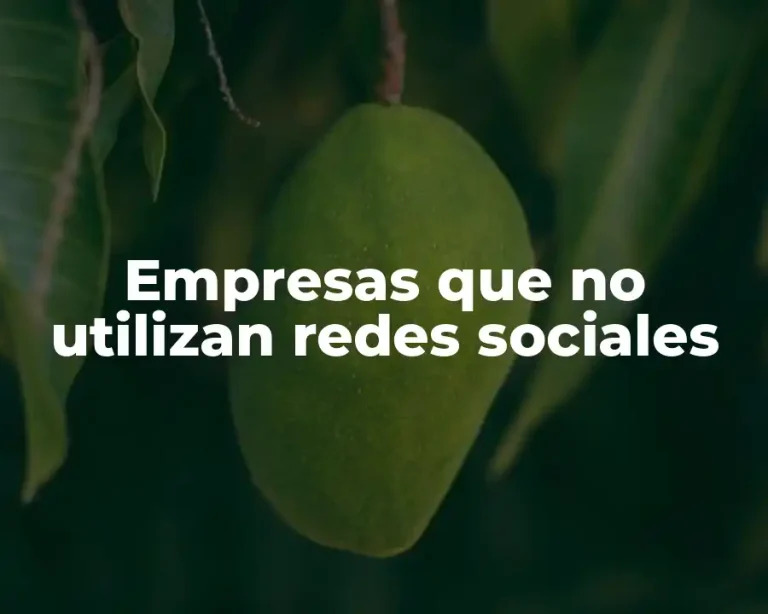 Empresas que no utilizan redes sociales
