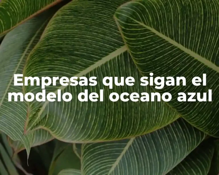 Empresas que sigan el modelo del oceano azul