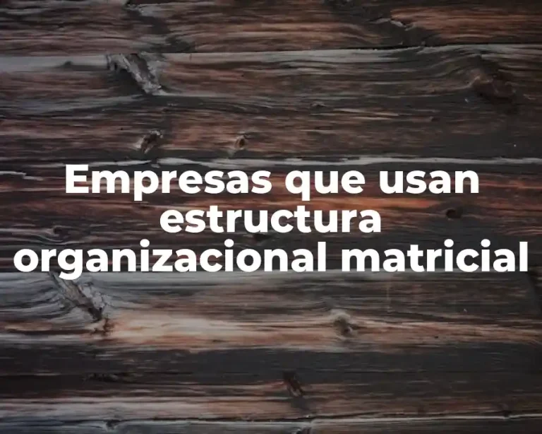 Empresas que usan estructura organizacional matricial