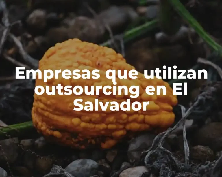 Empresas que utilizan outsourcing en El Salvador