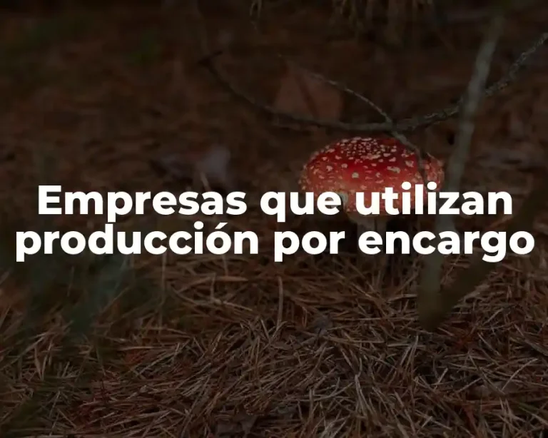 Empresas que utilizan producción por encargo