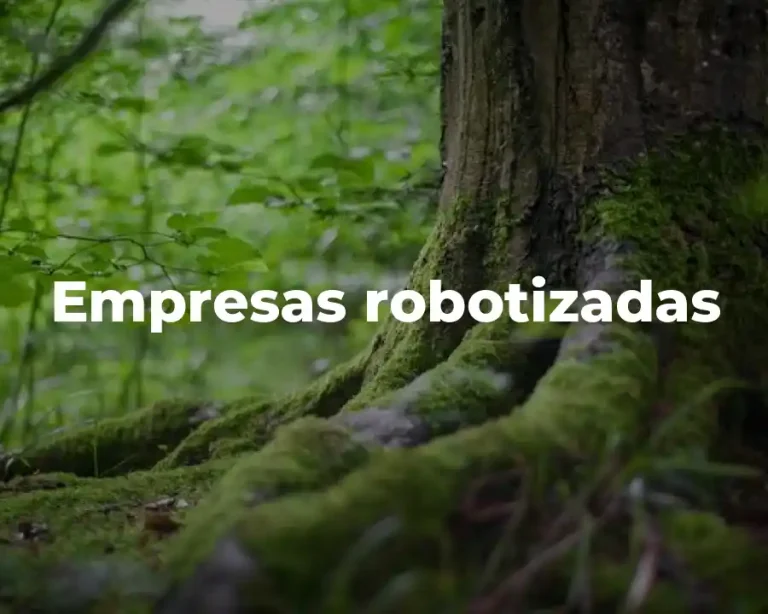 Empresas robotizadas