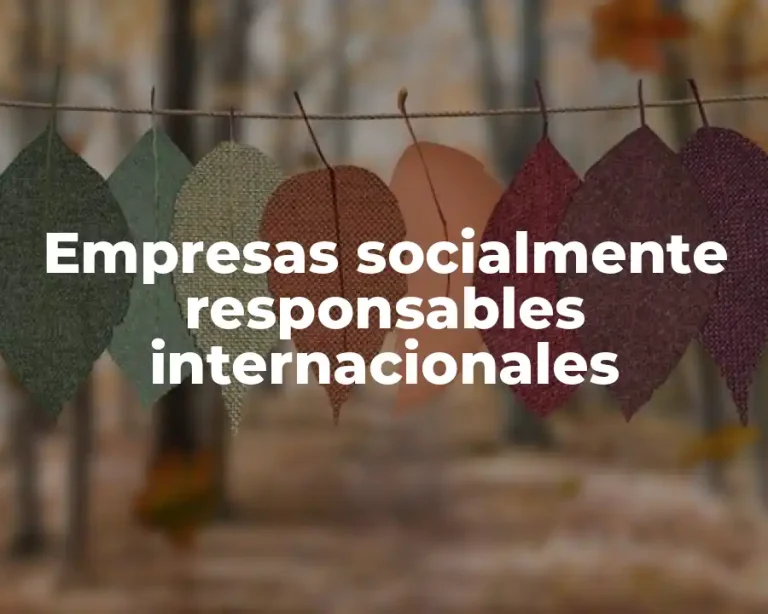 Empresas socialmente responsables internacionales