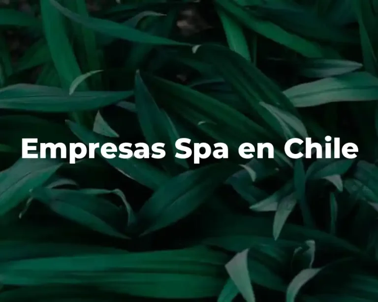 Empresas Spa en Chile