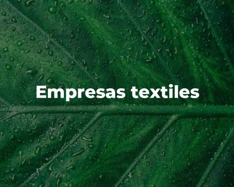Empresas textiles