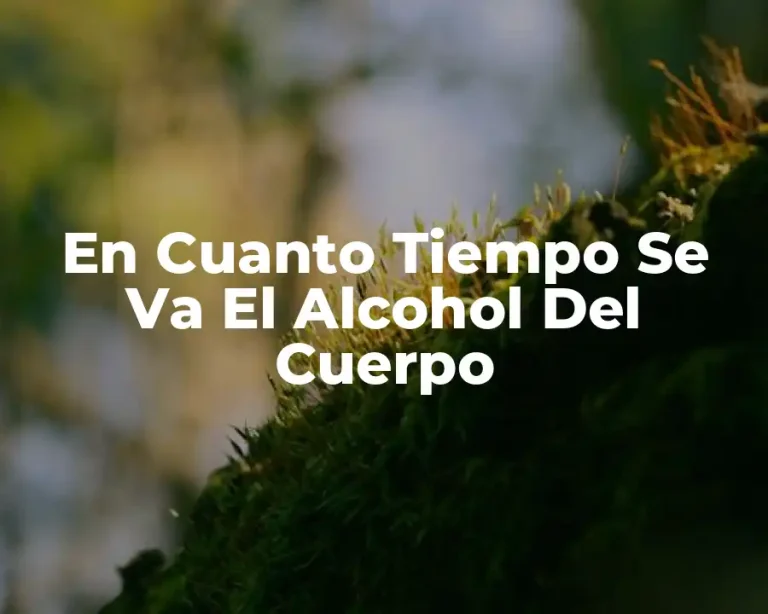 En Cuanto Tiempo Se Va El Alcohol Del Cuerpo