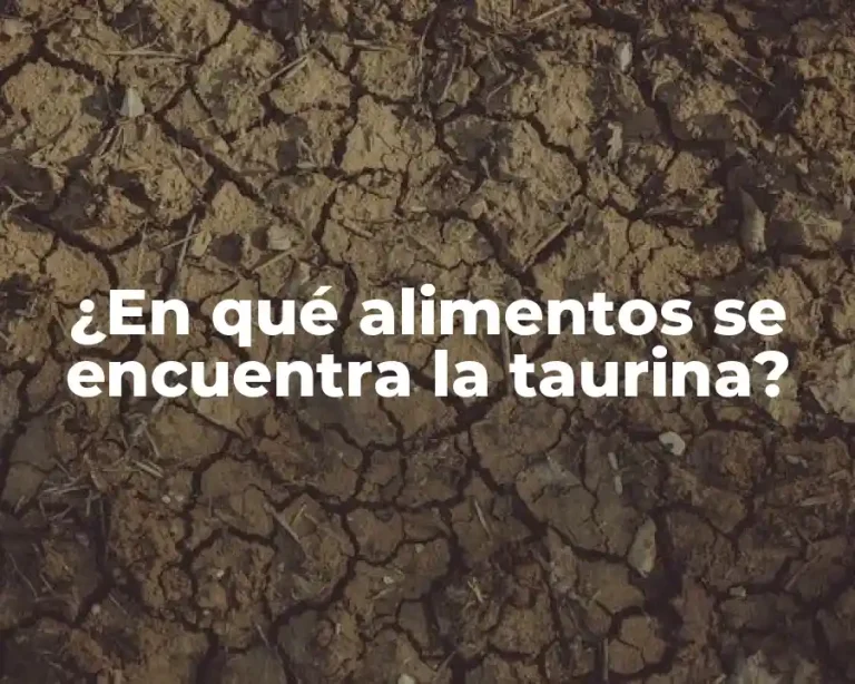 ¿En qué alimentos se encuentra la taurina?