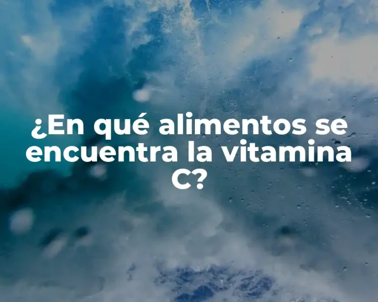 ¿En qué alimentos se encuentra la vitamina C?