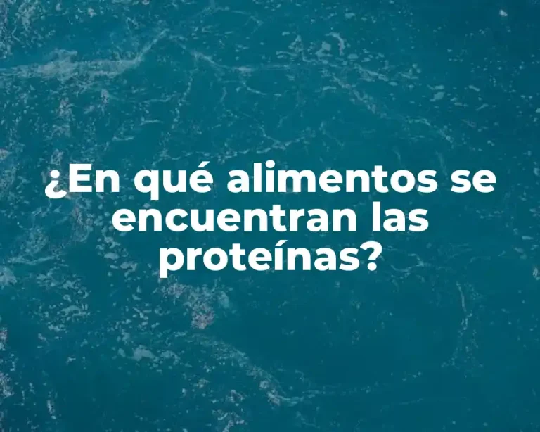 ¿En qué alimentos se encuentran las proteínas?