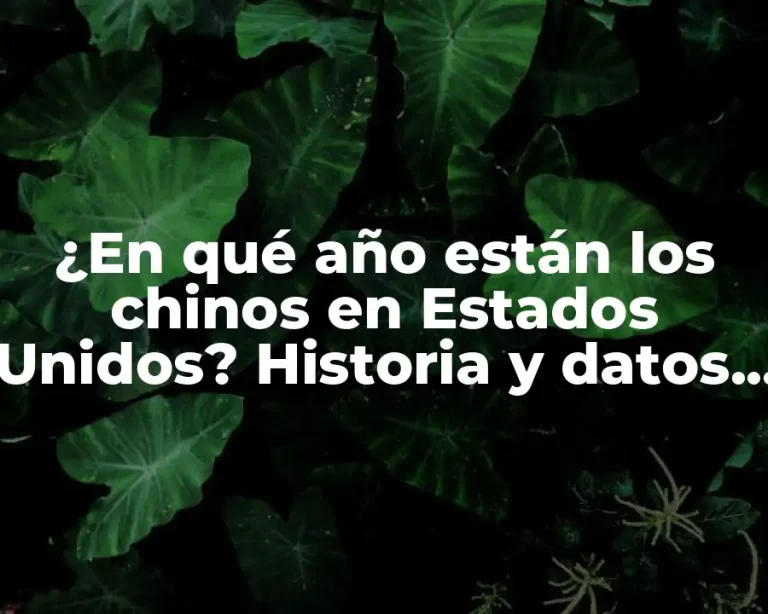 ¿En qué año están los chinos en Estados Unidos? Historia y datos clave
