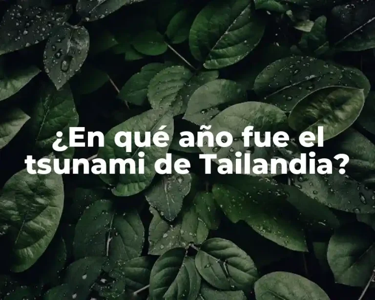 ¿En qué año fue el tsunami de Tailandia?