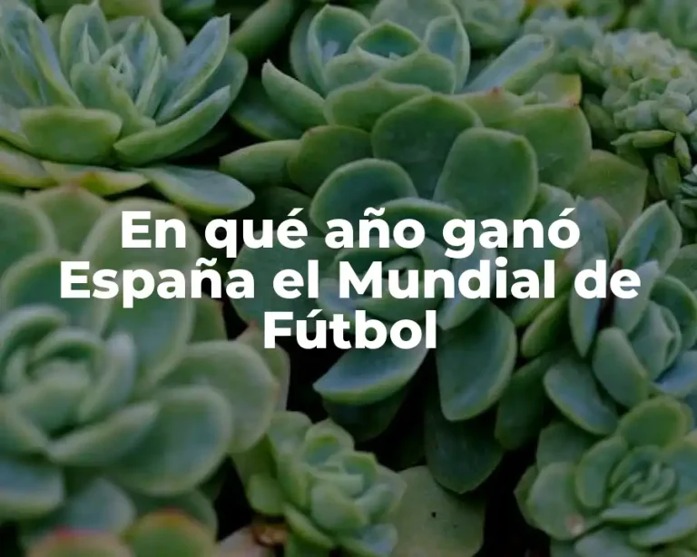 En qué año ganó España el Mundial de Fútbol