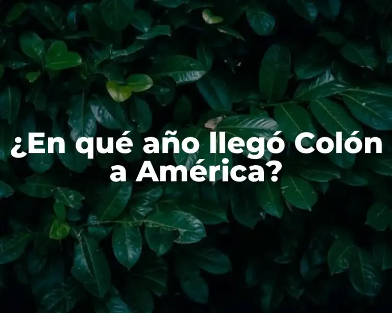¿En qué año llegó Colón a América?