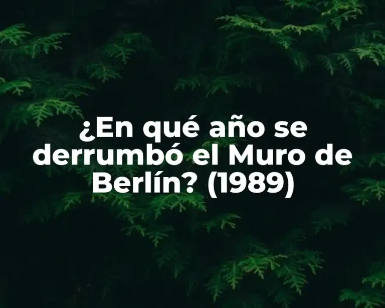 ¿En qué año se derrumbó el Muro de Berlín? (1989)