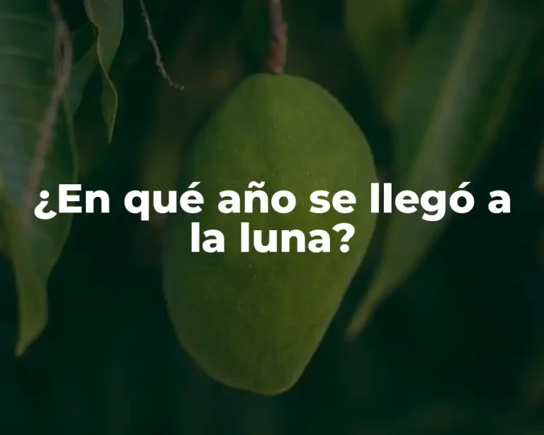 ¿En qué año se llegó a la luna?