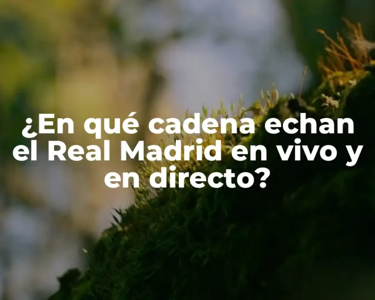 ¿En qué cadena echan el Real Madrid en vivo y en directo?