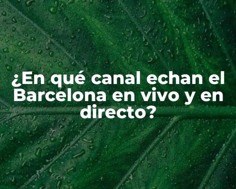 ¿En qué canal echan el Barcelona en vivo y en directo?