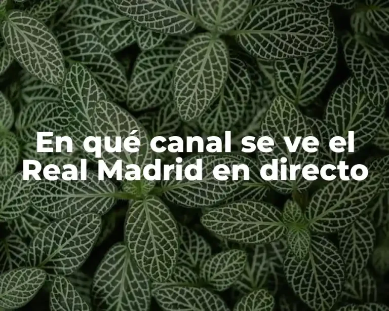 En qué canal se ve el Real Madrid en directo