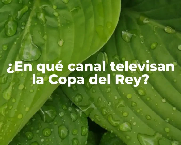 ¿En qué canal televisan la Copa del Rey?