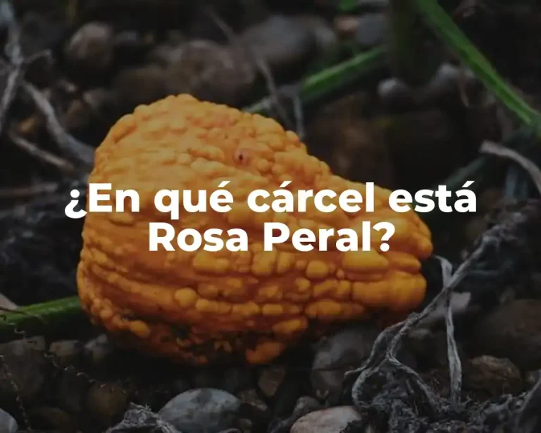 ¿En qué cárcel está Rosa Peral?