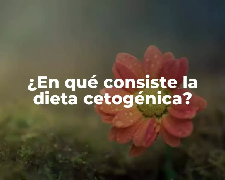 ¿En qué consiste la dieta cetogénica?