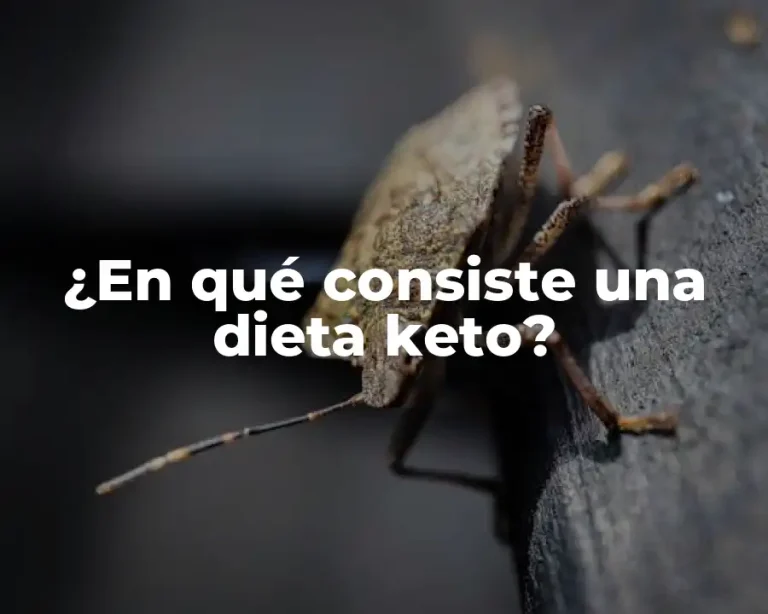 ¿En qué consiste una dieta keto?