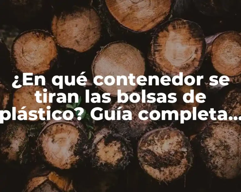 ¿En qué contenedor se tiran las bolsas de plástico? Guía completa para reciclar