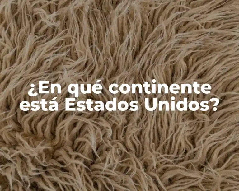 ¿En qué continente está Estados Unidos?