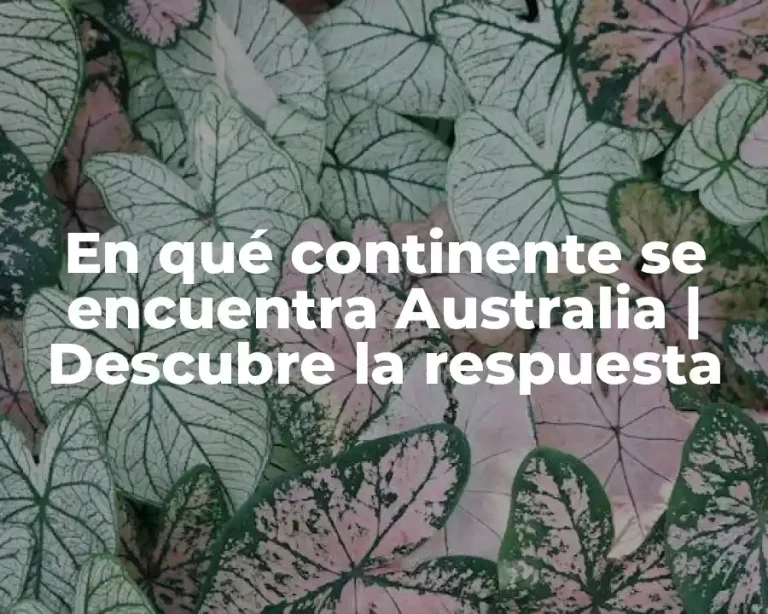 En qué continente se encuentra Australia | Descubre la respuesta