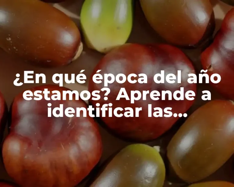 ¿En qué época del año estamos? Aprende a identificar las estaciones