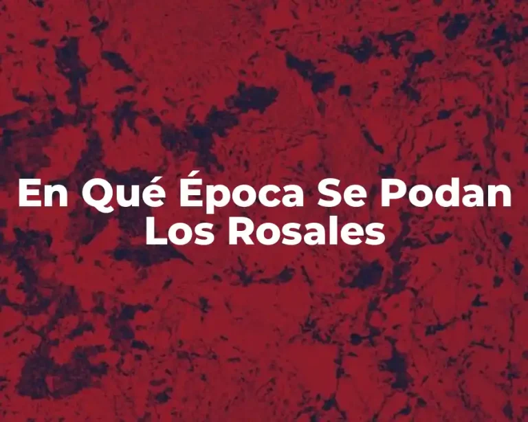 En Qué Época Se Podan Los Rosales